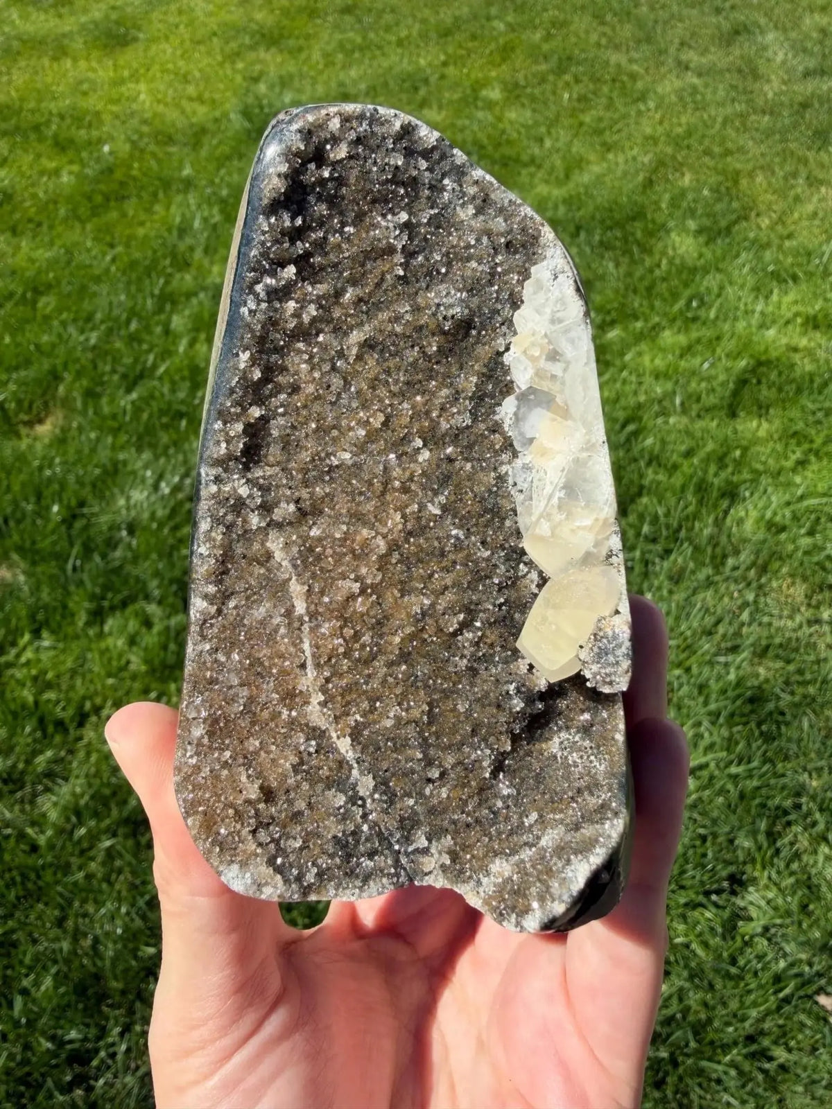 Mossy Green Brazilian Rainbow Amethyst Geode | “D” - The Aquarian Alchemist