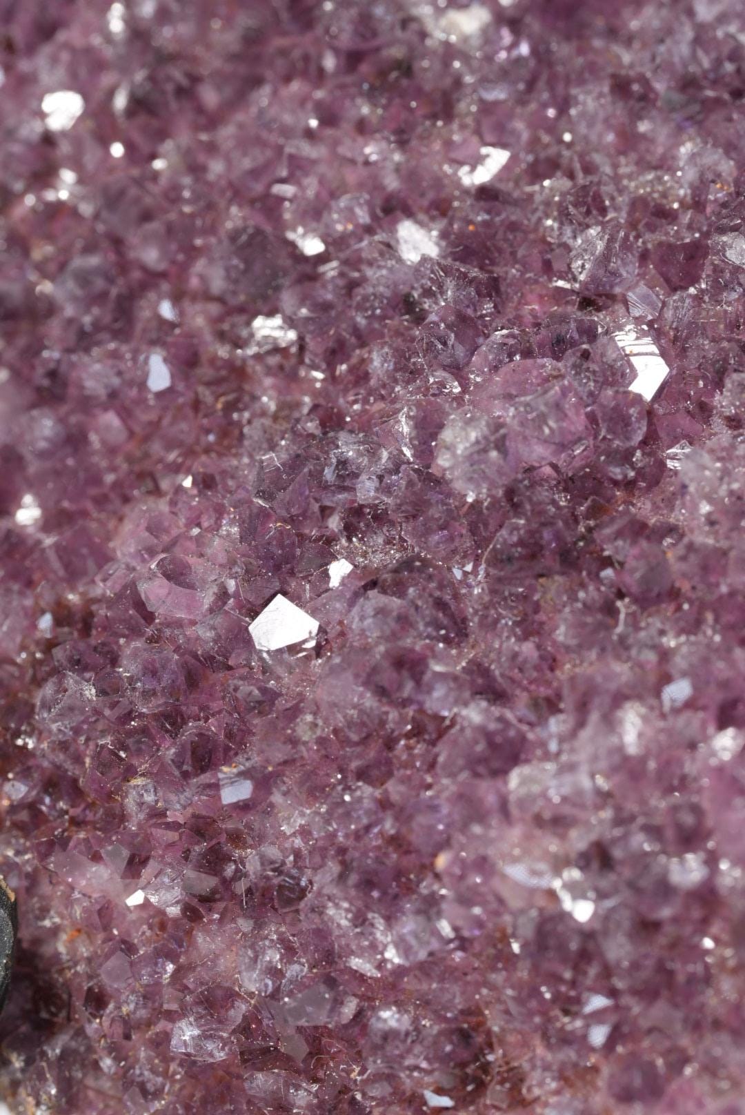 Purple Amethyst Angel Wings | Brazil | AWING2 - The Aquarian Alchemist
