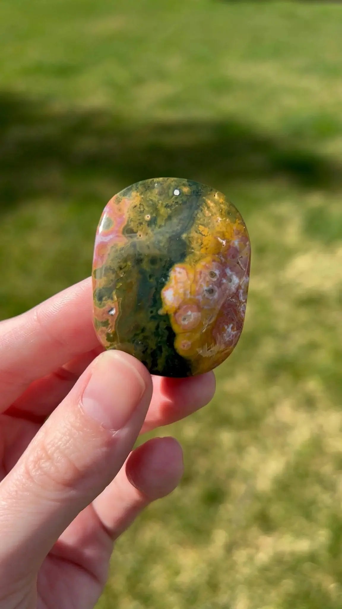 Sea Jasper Palm Stone | Mineral Wave - The Aquarian Alchemist
