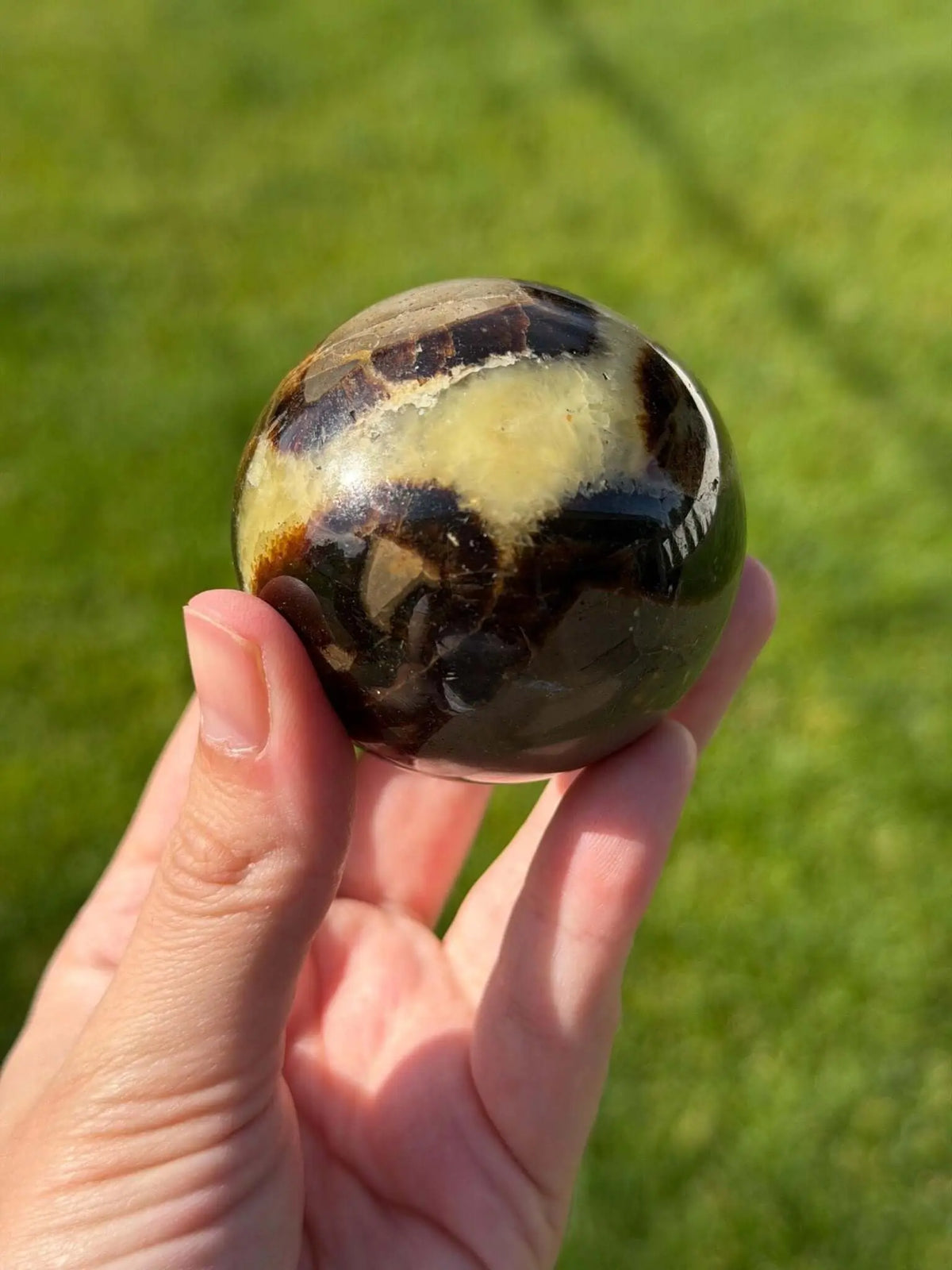Septarian Sphere | 54mm - The Aquarian Alchemist