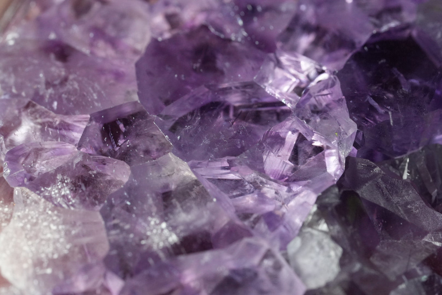 The Amethyst Collection - The Aquarian Alchemist
