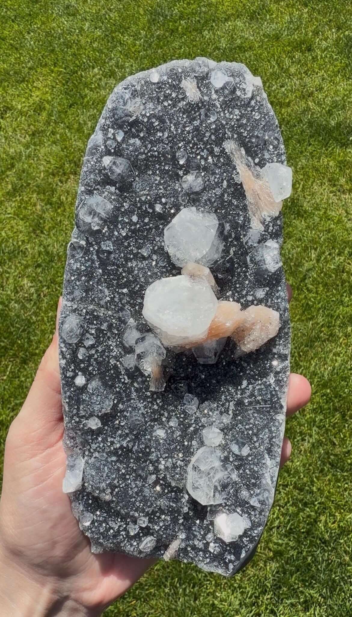 Black Chalcedony with Apophyllite & Peach Stilbite | Collector Mineral Specimen | Druzy Microcrystalline Quartz | India - The Aquarian Alchemist