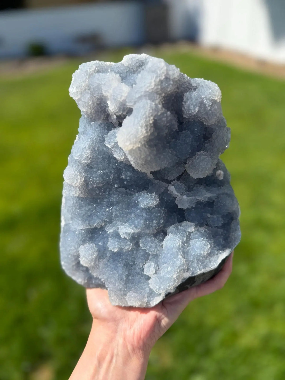 Blue Chalcedony Druzy Cluster on Matrix - The Aquarian Alchemist