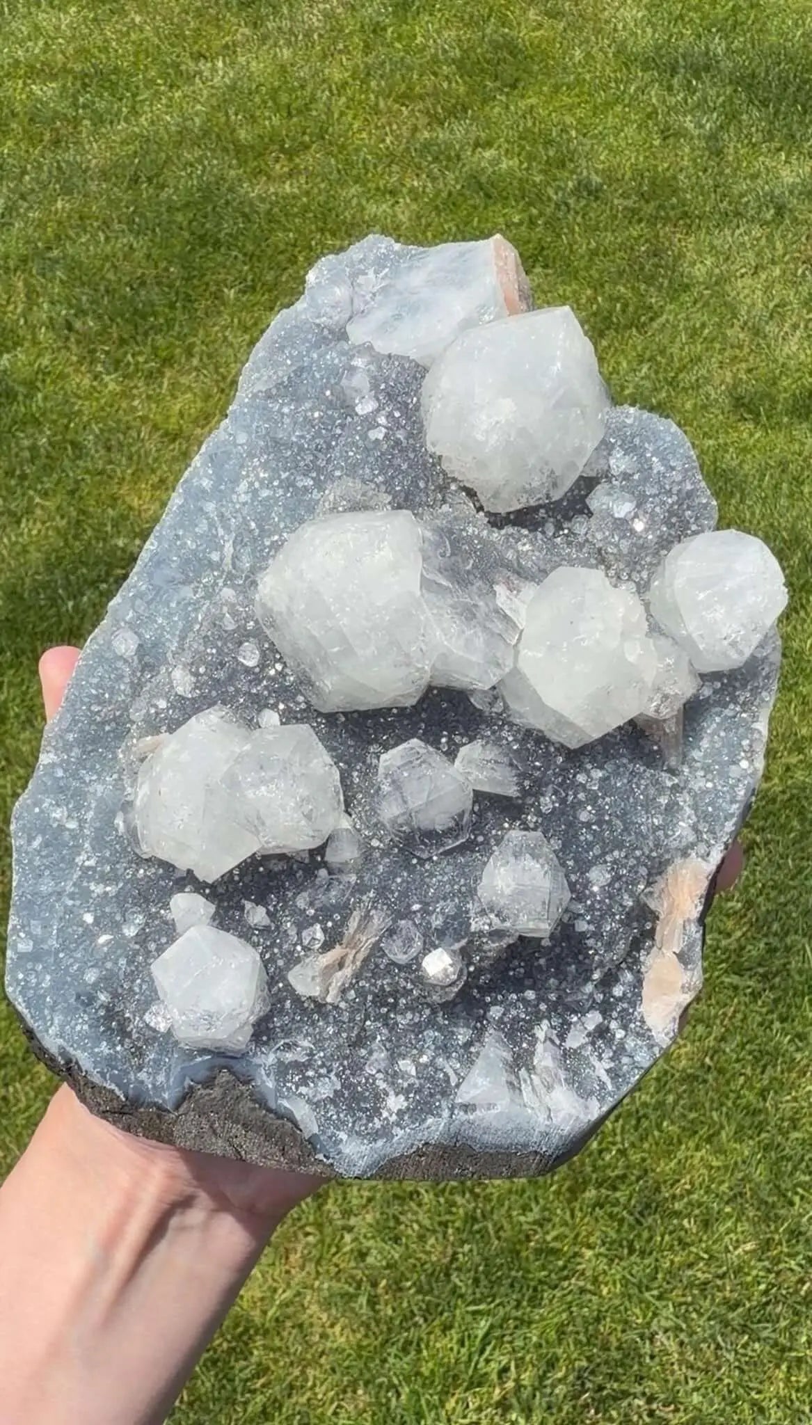 Blue Chalcedony with Apophyllite & Peach Stilbite | Collector Mineral Specimen | India | One-of-a-Kind Display Crystal - The Aquarian Alchemist