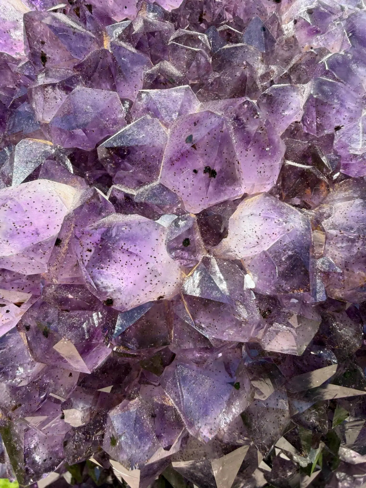 Large Amethyst Cluster on Metal Stand | 28 lb Statement Crystal Display - The Aquarian Alchemist