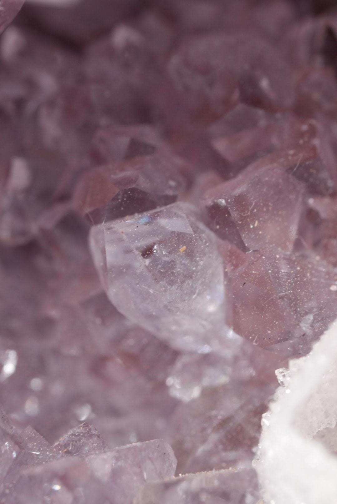Pink Amethyst Druzy Sphere | Brazil | PA-S005 - The Aquarian Alchemist