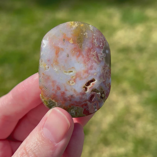 Sea Jasper Palm Stone | Coastal Strata.