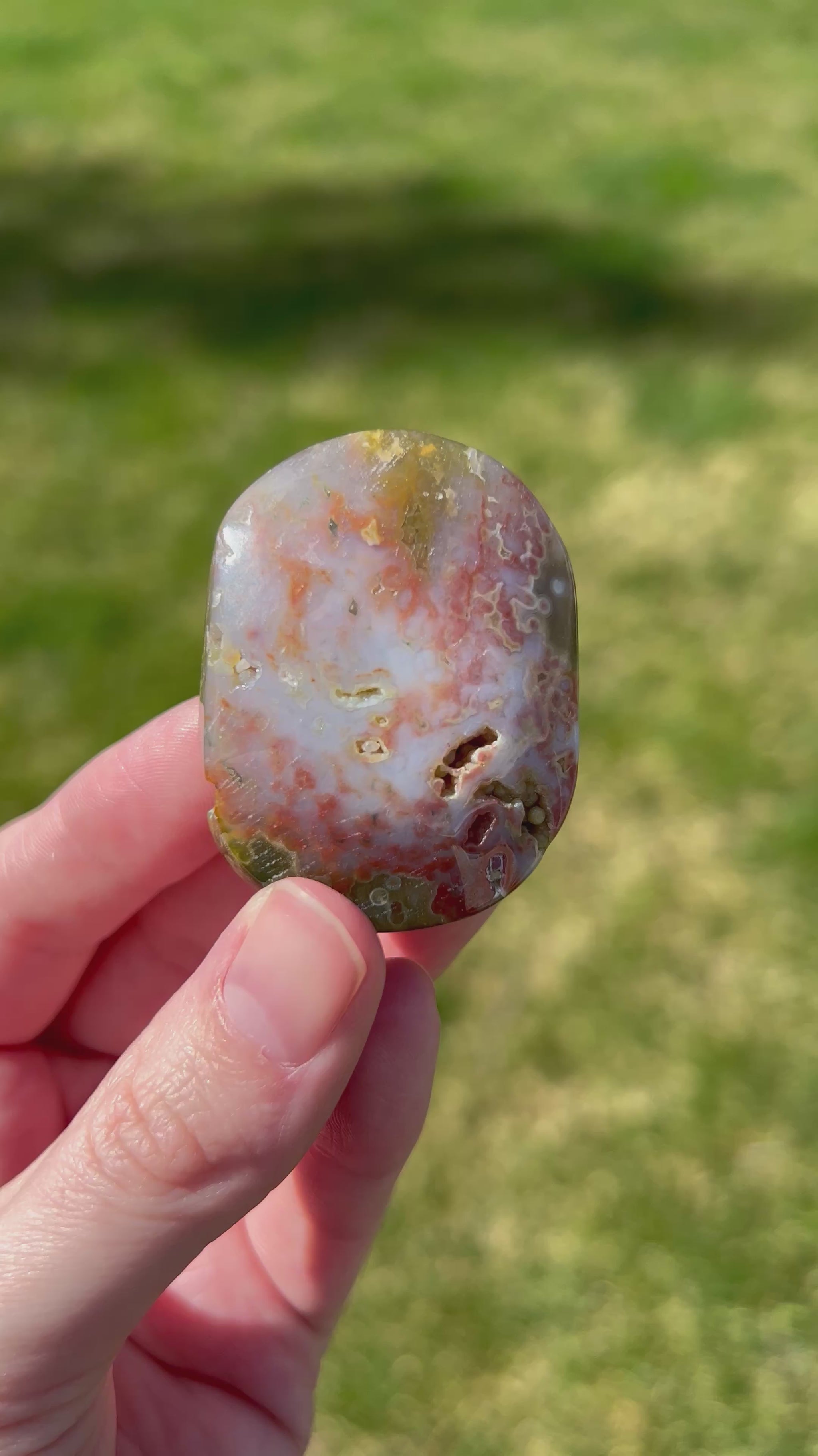 Sea Jasper Palm Stone | Coastal Strata.