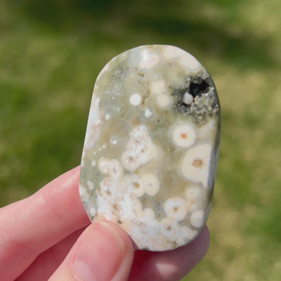 Sea Jasper Palm Stone | Ocean Bloom.
