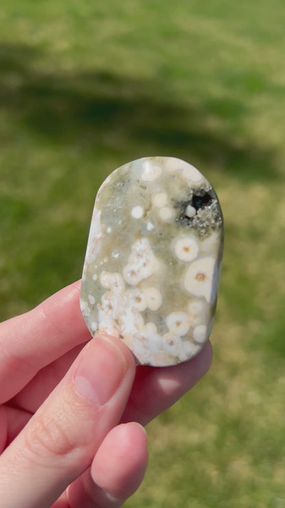 Sea Jasper Palm Stone | Ocean Bloom.