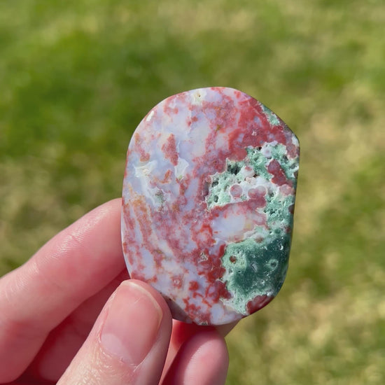 Sea Jasper Palm Stone | Sandstone Dream.