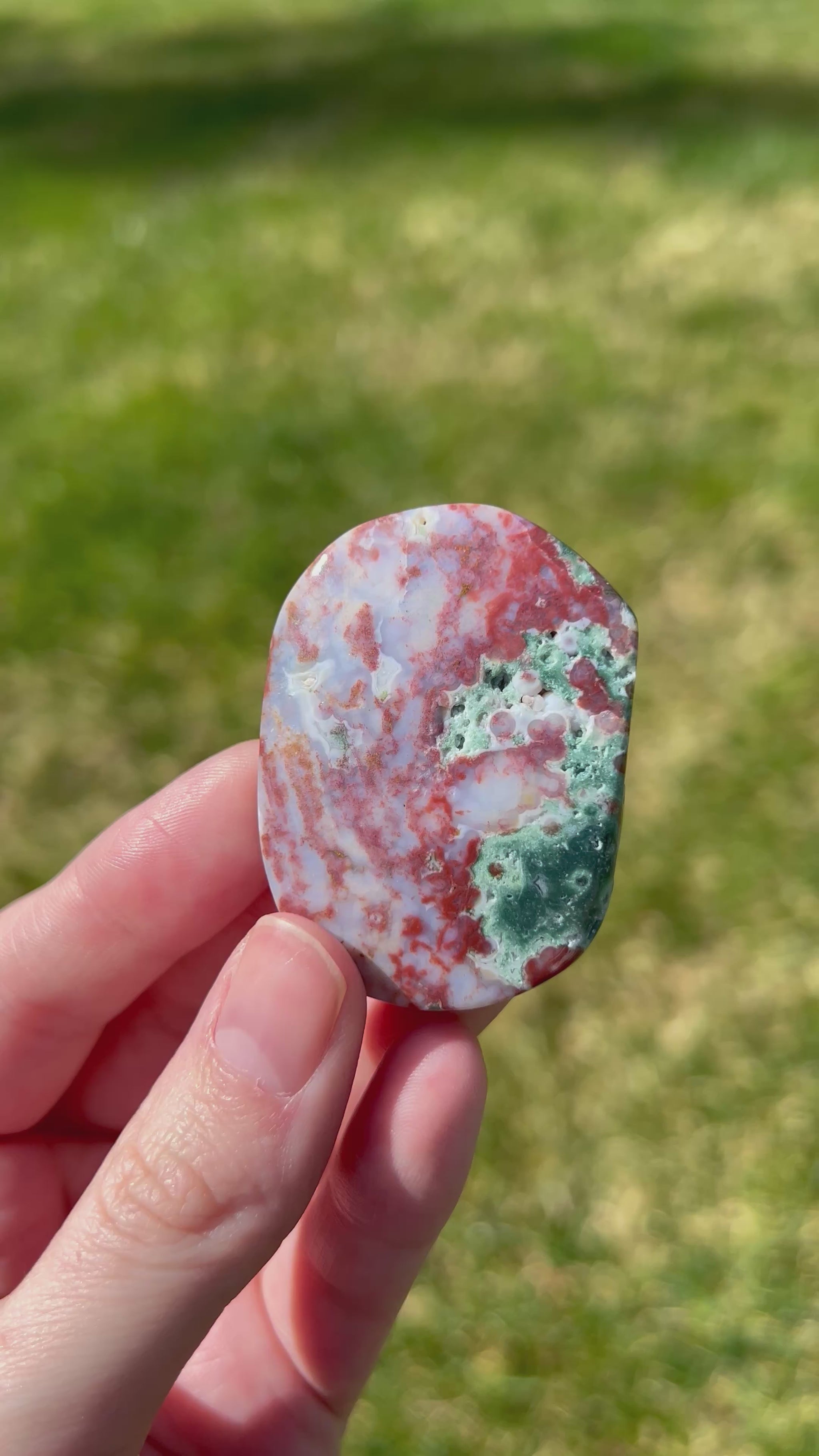 Sea Jasper Palm Stone | Sandstone Dream.