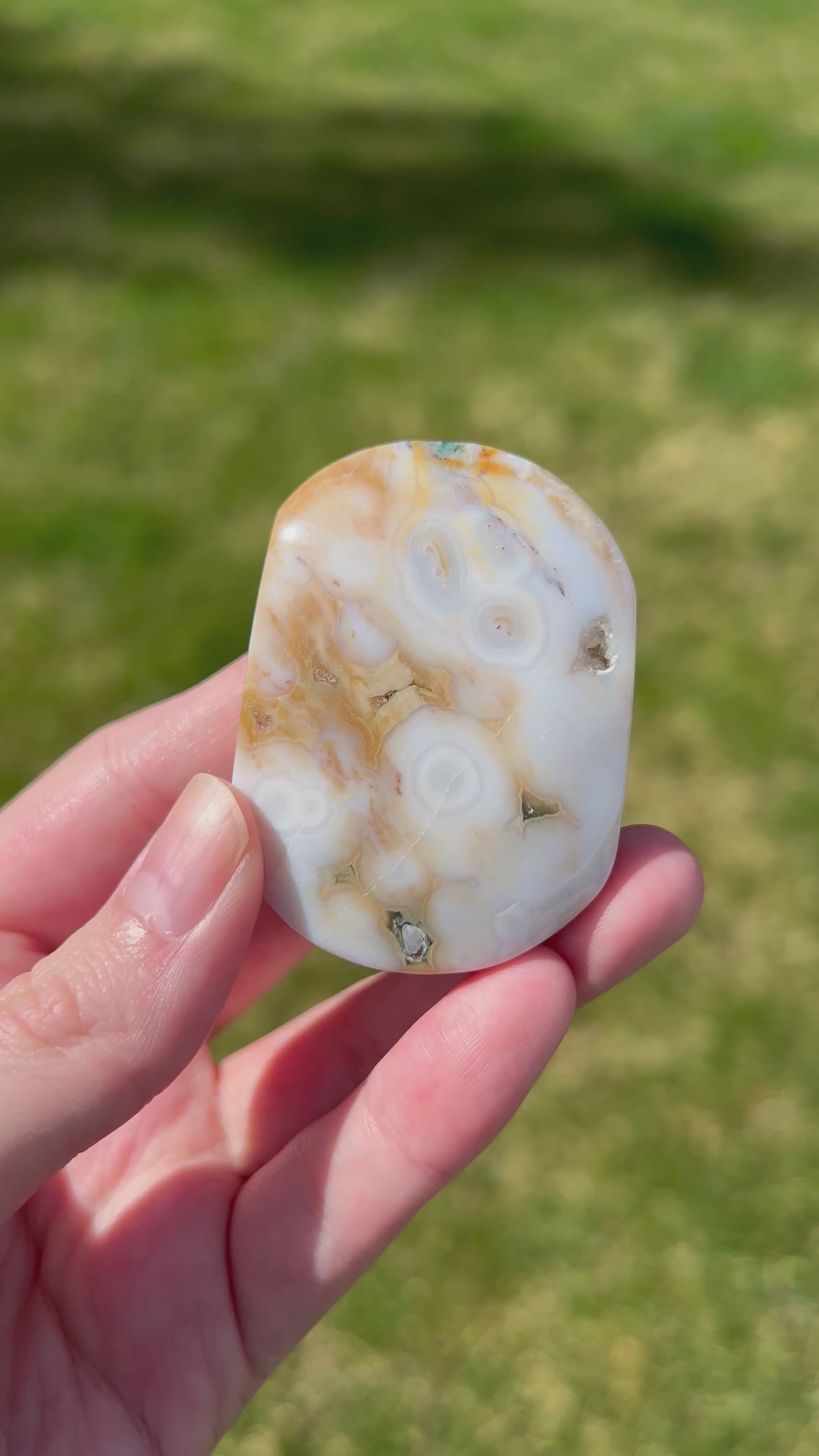 Sea Jasper Palm Stone | Mineral Lace.