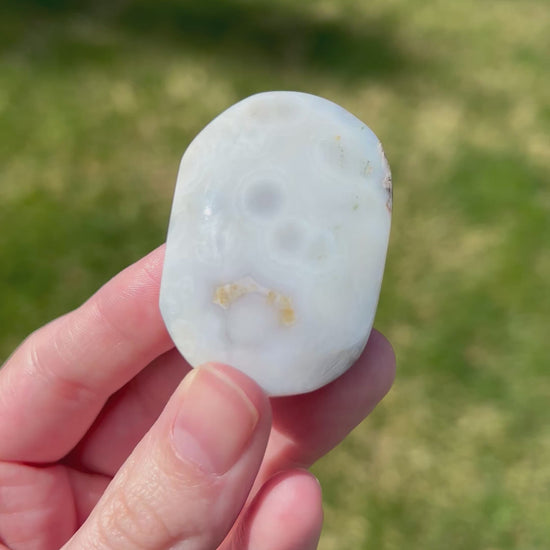 Sea Jasper Palm Stone | Coastal Vein.