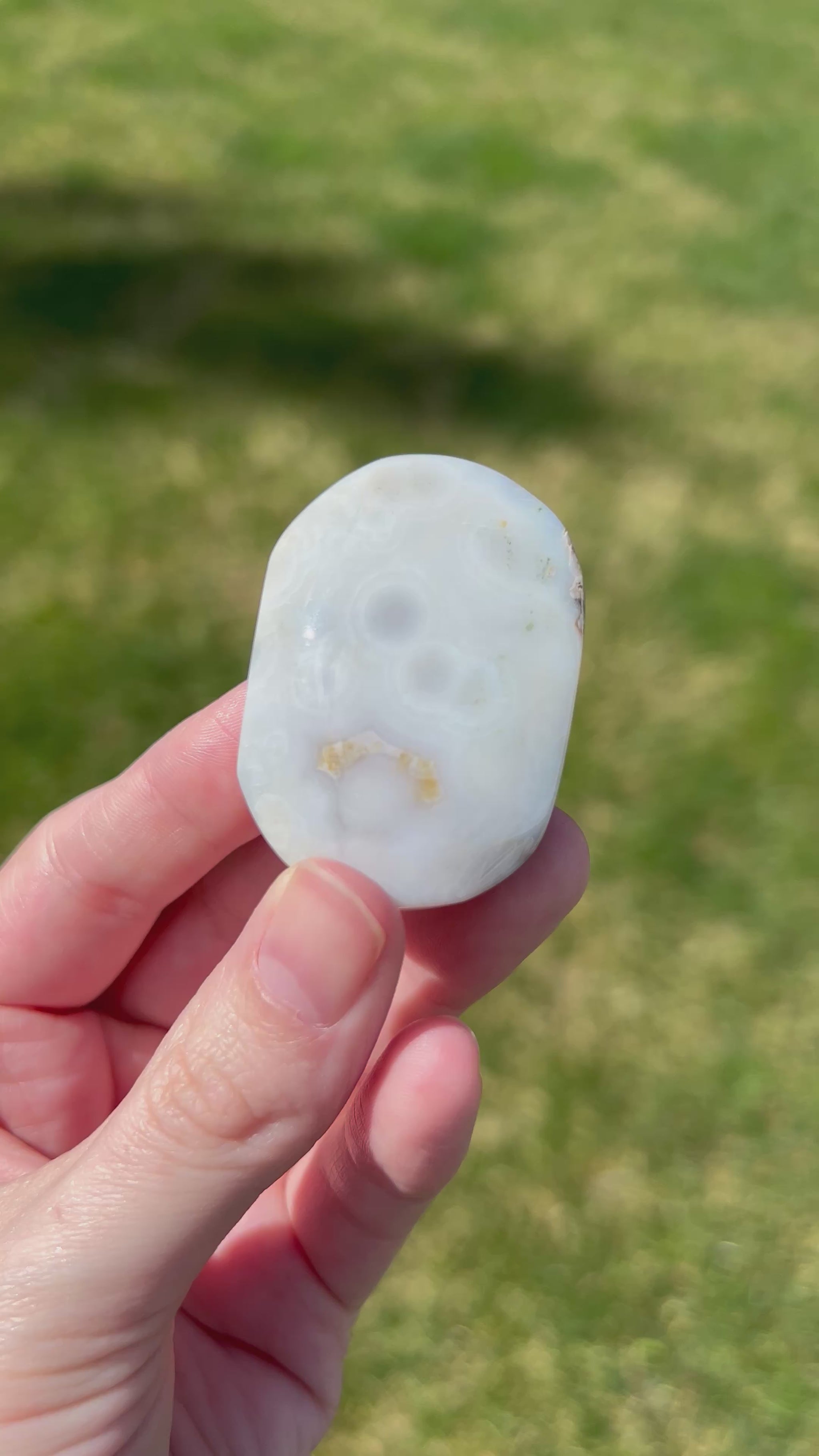 Sea Jasper Palm Stone | Coastal Vein.