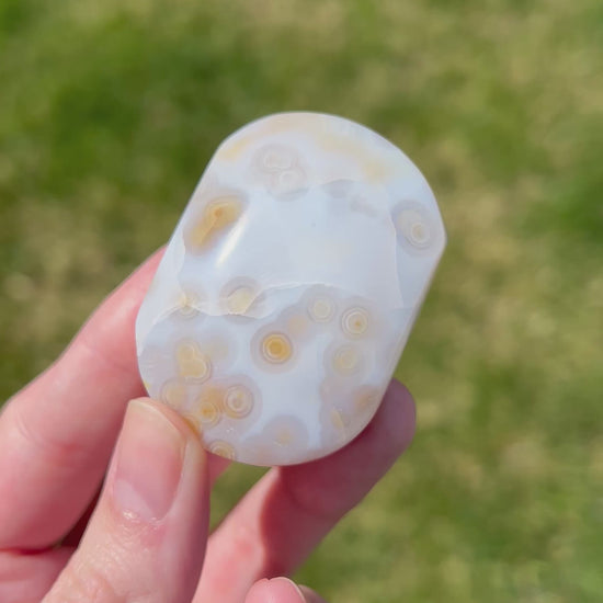 Sea Jasper Palm Stone | Mineral Flow.