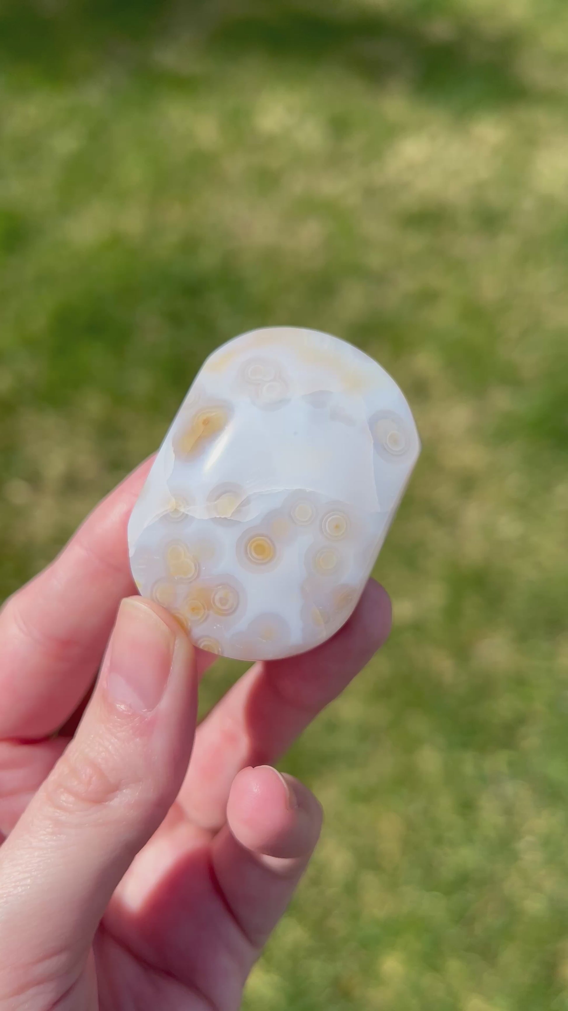 Sea Jasper Palm Stone | Mineral Flow.