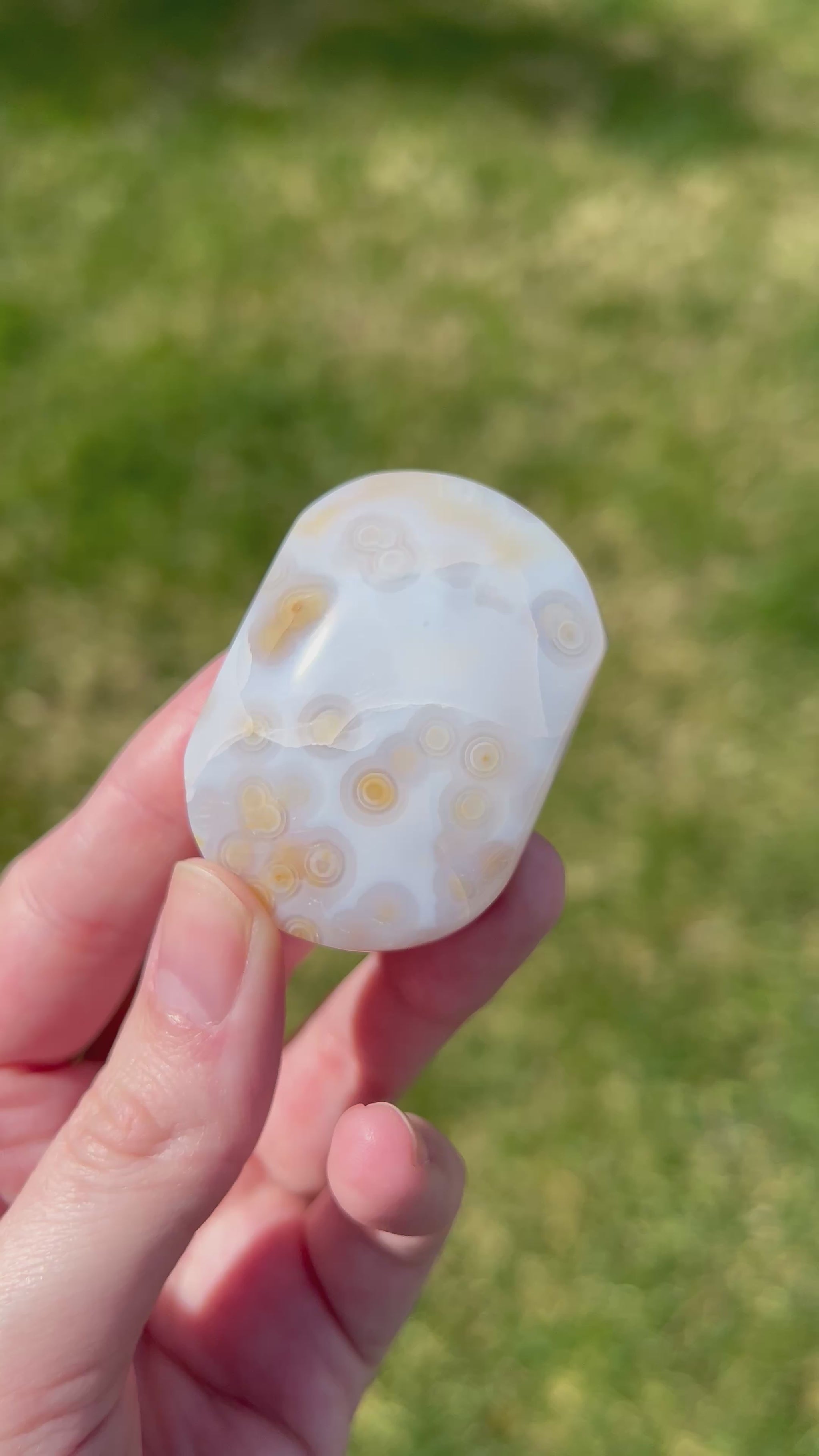 Sea Jasper Palm Stone | Mineral Flow.