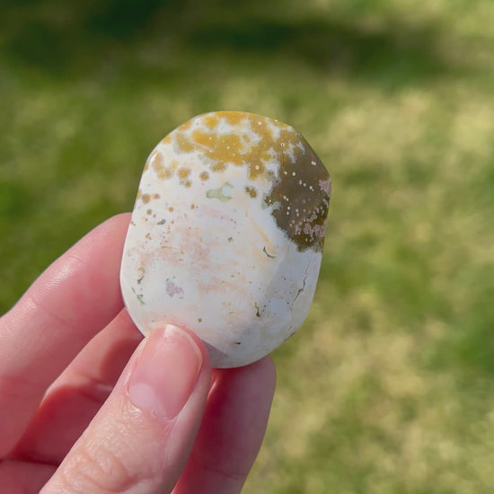 Sea Jasper Palm Stone | Coastal Drift.