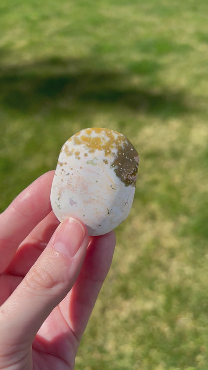 Sea Jasper Palm Stone | Coastal Drift.