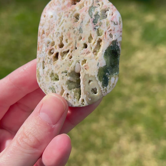 Sea Jasper Palm Stone | Coastal Bloom.