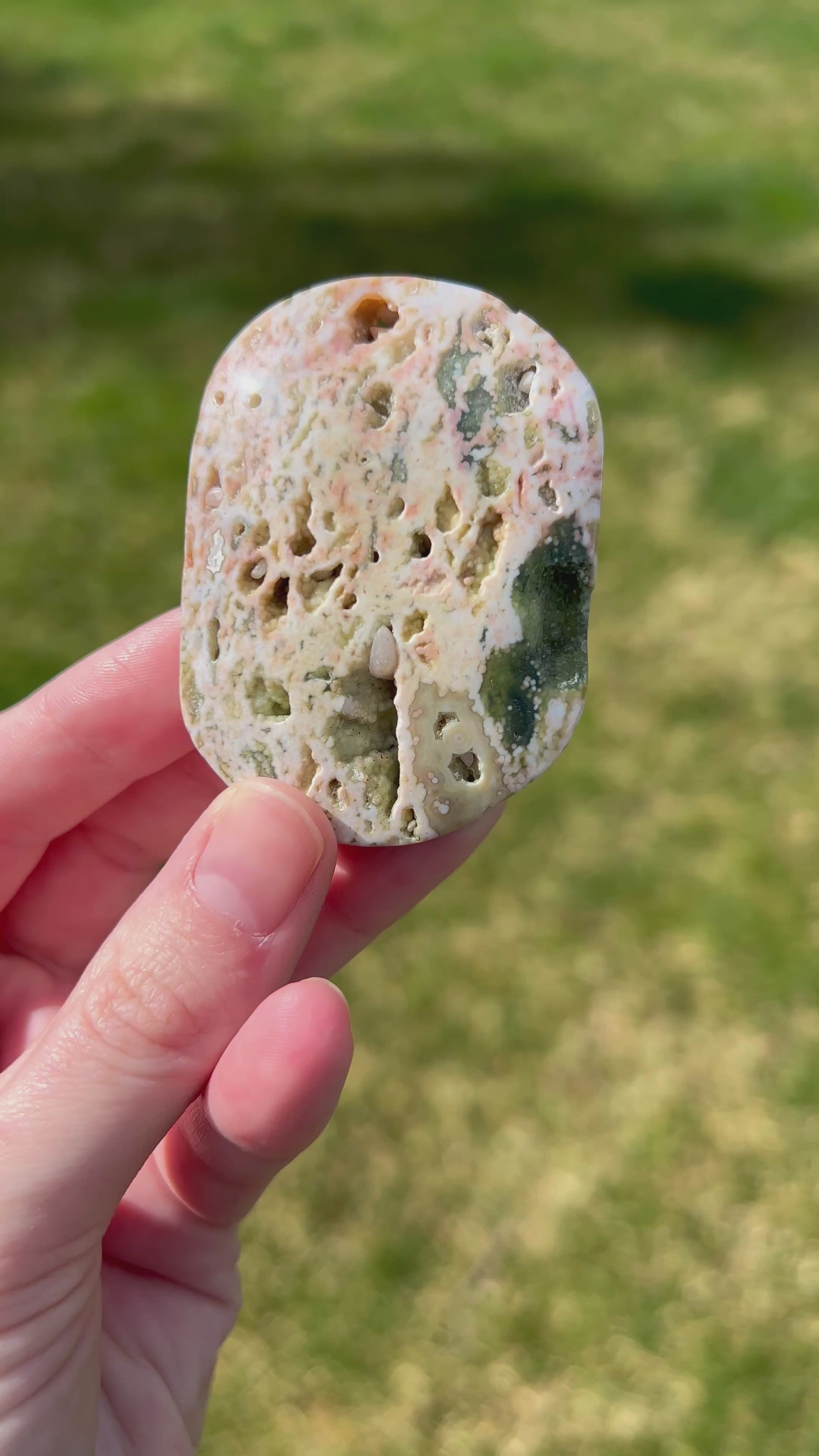 Sea Jasper Palm Stone | Coastal Bloom.