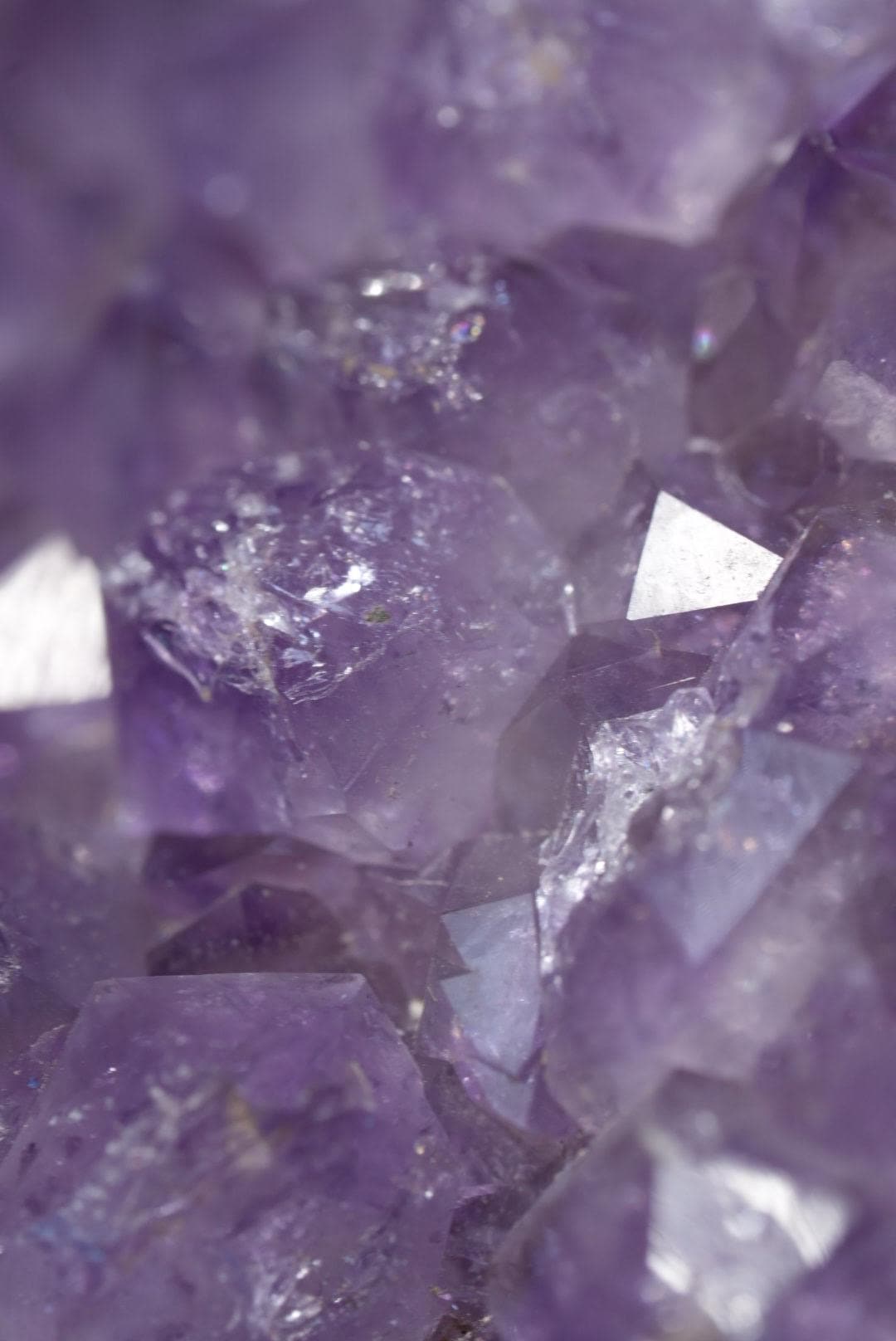 Purple Amethyst Angel Wings | Brazil | AWING1 - The Aquarian Alchemist