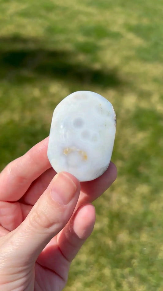 Sea Jasper Palm Stone | Coastal Vein - The Aquarian Alchemist