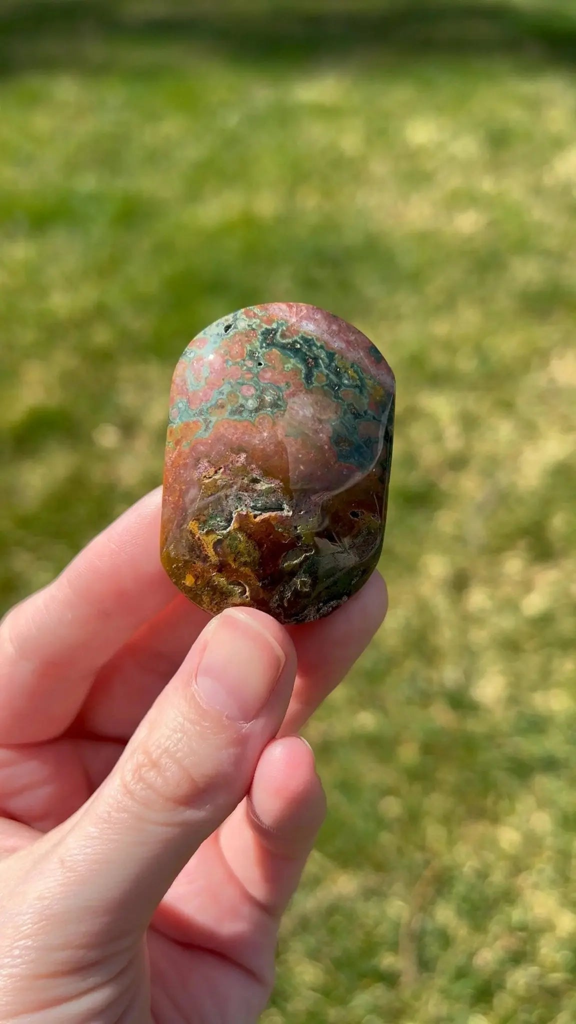 Sea Jasper Palm Stone | Mineral Bloom - The Aquarian Alchemist