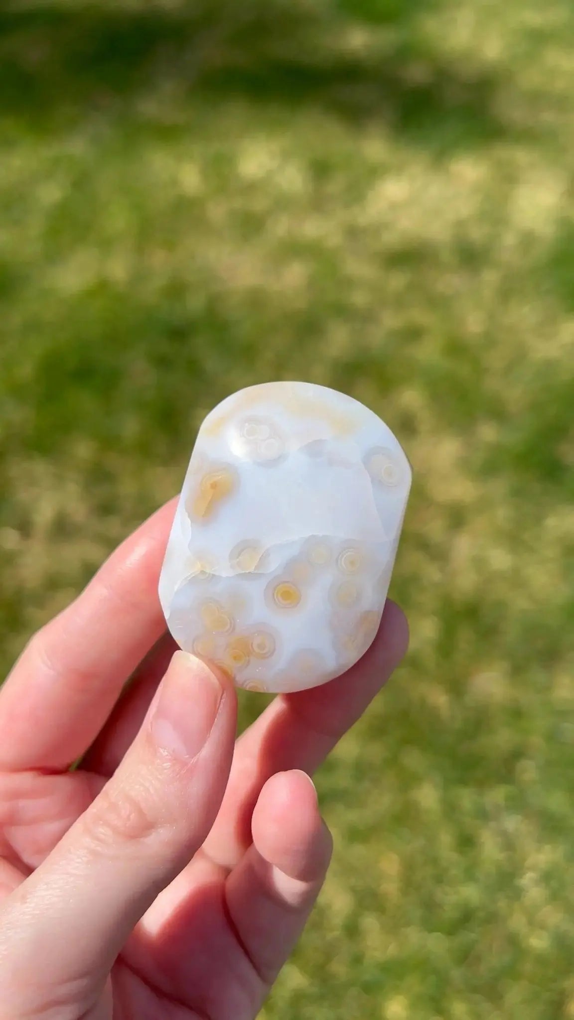 Sea Jasper Palm Stone | Mineral Flow - The Aquarian Alchemist