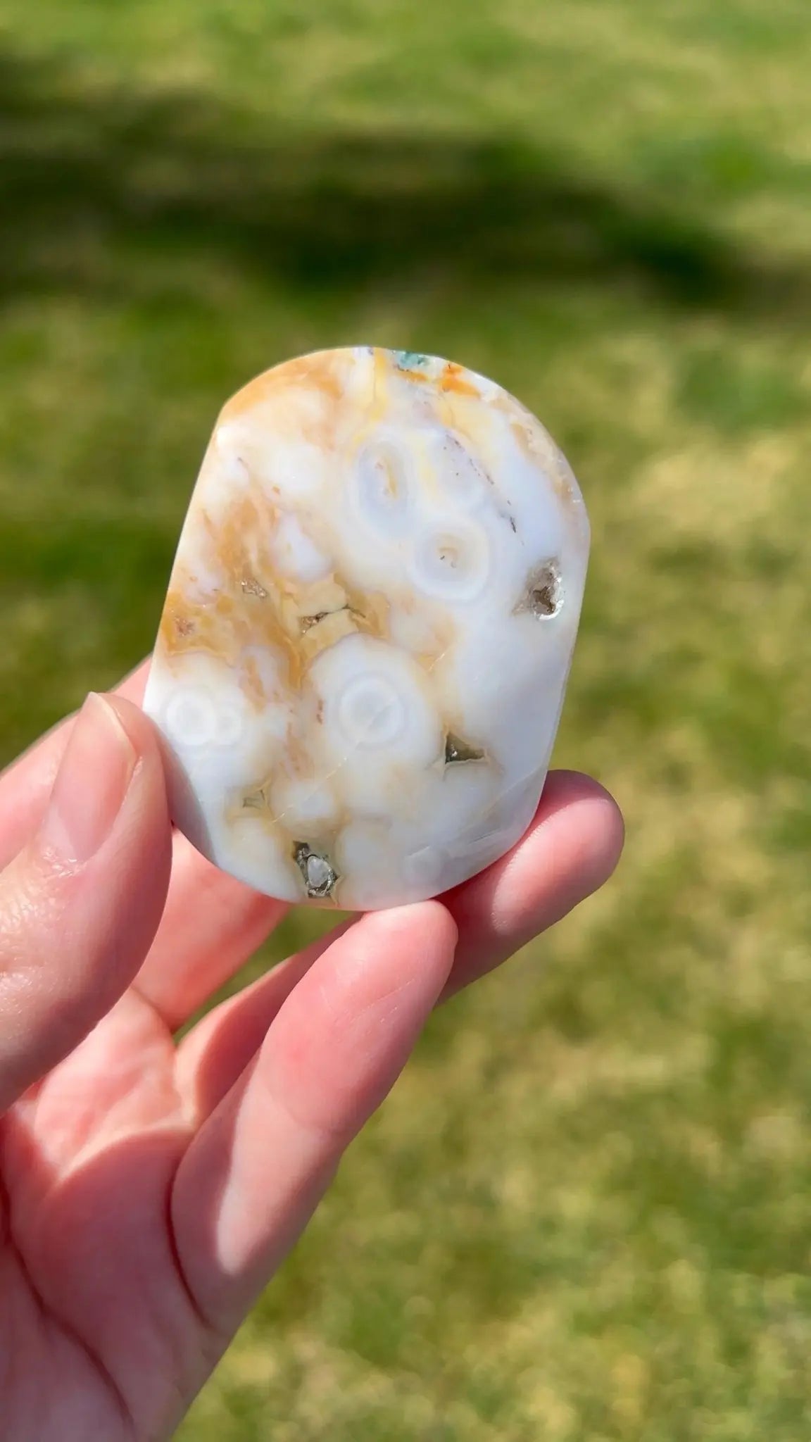 Sea Jasper Palm Stone | Mineral Lace - The Aquarian Alchemist