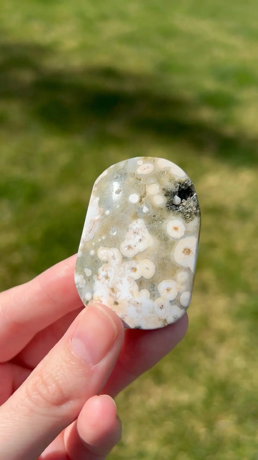 Sea Jasper Palm Stone | Ocean Bloom - The Aquarian Alchemist