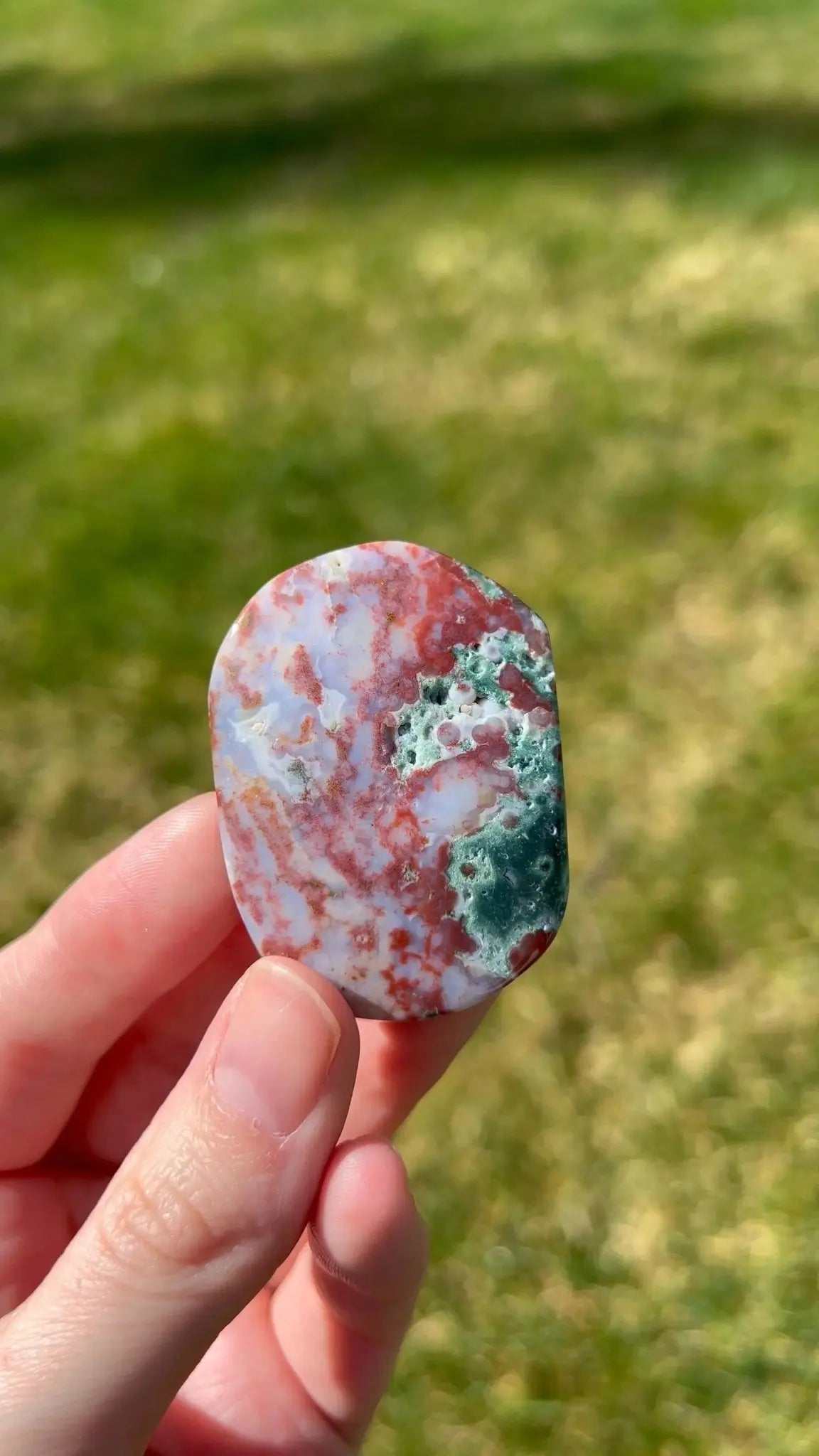 Sea Jasper Palm Stone | Sandstone Dream - The Aquarian Alchemist